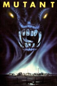 Night Shadows 1984 on netflix