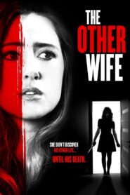 The Other Wife 2016 on netflix