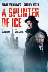 A Splinter of Ice 2021 on netflix