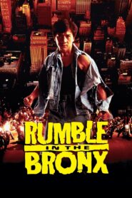 Rumble in the Bronx 1995 on netflix