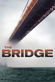 The Bridge 2006 on netflix