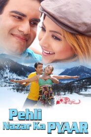 Love at first sight 2008 on netflix