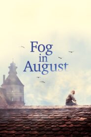 Fog in August 2016 on netflix