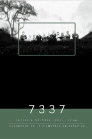 7337 2000 on netflix