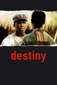 Destiny 1997 on netflix