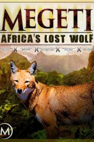 Megeti – Africa’s Lost Wolf 2016 on netflix