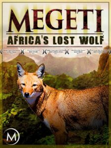 Megeti – Africa’s Lost Wolf 2016 on netflix
