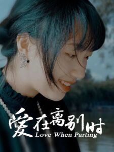 爱在离别时 2024 on netflix