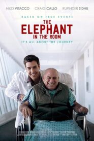The Elephant In The Room 2020 on netflix