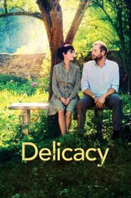 Delicacy 2011 on netflix