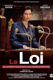 The Law 2014 on netflix