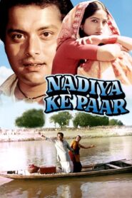 Nadiya Ke Paar 1982 on netflix