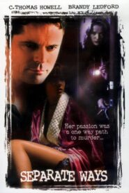 Separate Ways 2001 on netflix