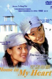 Home in My Heart 1999 on netflix