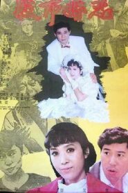 股市婚恋 1992 on netflix