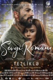 Romance Novel 2020 on netflix