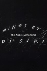 Wings of Desire: The Angels Among Us 2003 on netflix