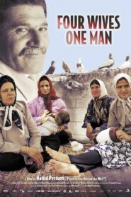 Four Wives – One Man 2007 on netflix