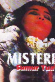 Mystery of the Old Well 1987 on netflix