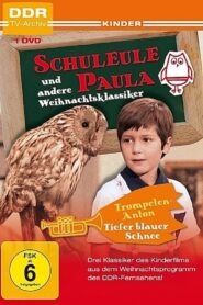 The Owl Paula 1981 on netflix