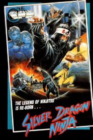 Silver Dragon Ninja 1986 on netflix