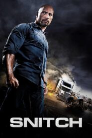 Snitch 2013 on netflix