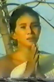 Preah Vesandor 1993 on netflix