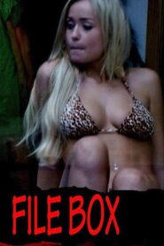 File Box 2013 on netflix