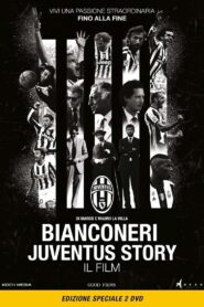 Black and White Stripes: The Juventus Story 2016 on netflix