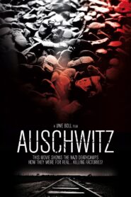 Auschwitz 2011 on netflix