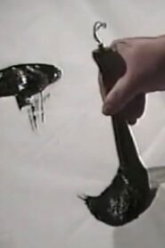 Zen, in Search of Enlightenment 1994 on netflix
