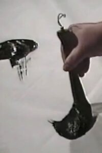 Zen, in Search of Enlightenment 1994 on netflix