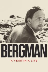 Bergman: A Year in a Life 2018 on netflix