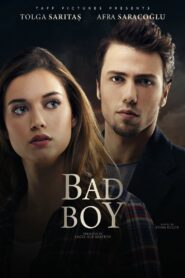 Bad Boy 2017 on netflix