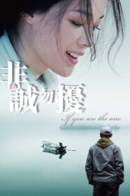 If You Are the One 2008 on netflix