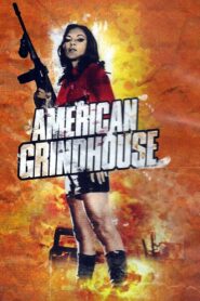 American Grindhouse 2011 on netflix