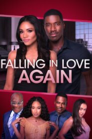 Falling in Love Again 2018 on netflix