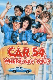 Car 54, Where Are You? 1994 on netflix
