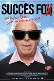 Succès Fox 2014 on netflix