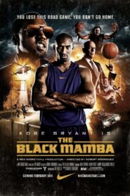 The Black Mamba 2011 on netflix