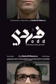 ODD 2013 on netflix