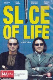 Slice of Life 2002 on netflix