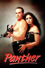 Panther 1995 on netflix