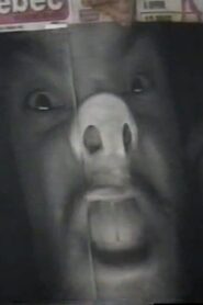 Big Apple 2002 on netflix