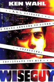 Wiseguy 1996 on netflix