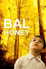 Honey 2010 on netflix