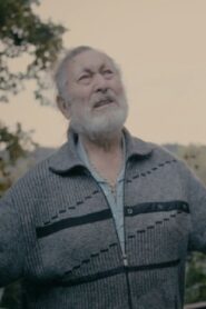 King Lear 2017 on netflix