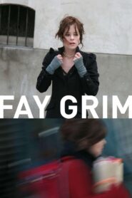 Fay Grim 2007 on netflix