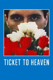 Ticket to Heaven 1981 on netflix