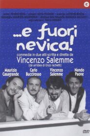 …e fuori nevica! 1995 on netflix